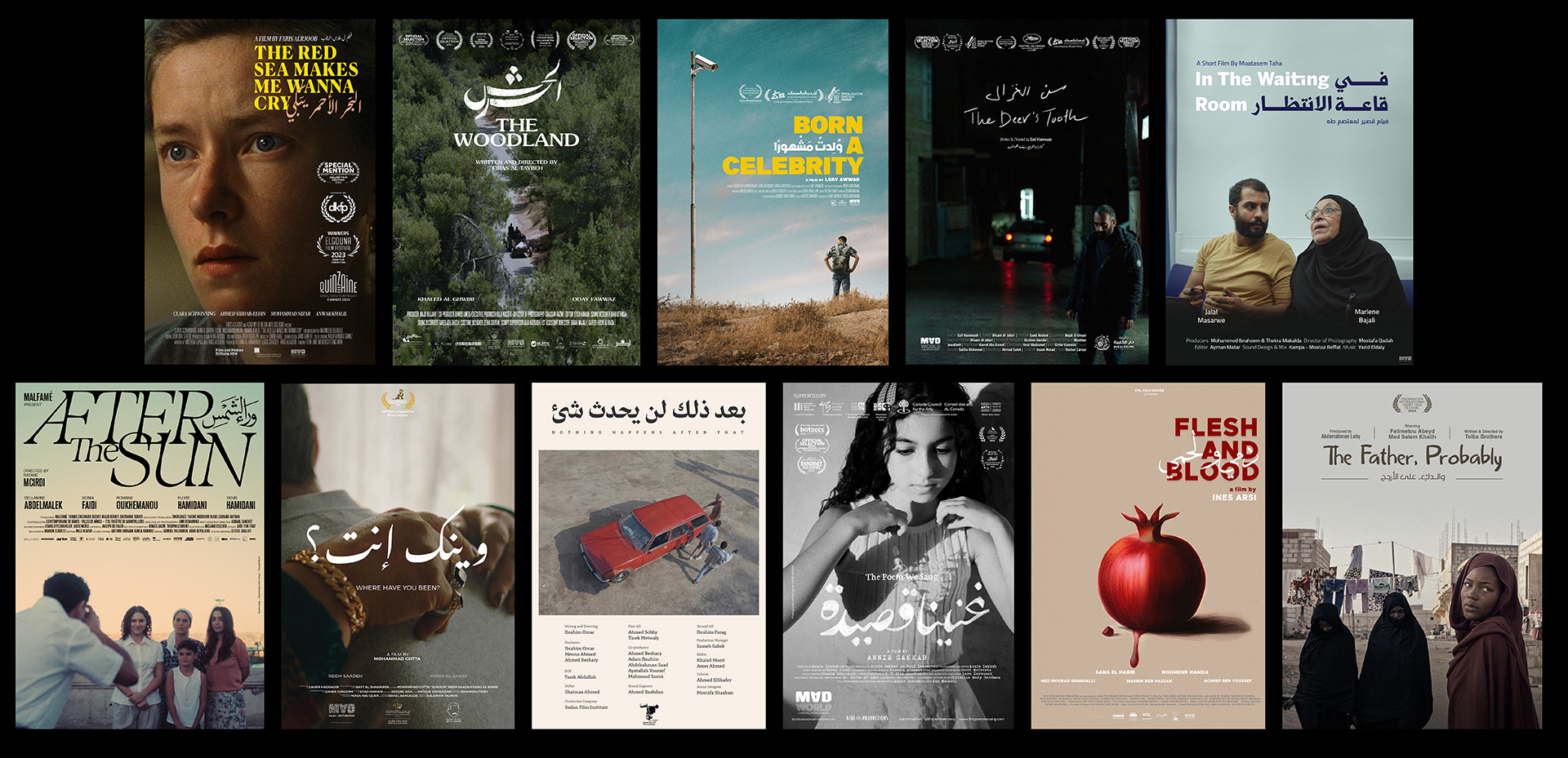 MAD Solutions to screen 13 shorts at 35th Carthage Film Festival 