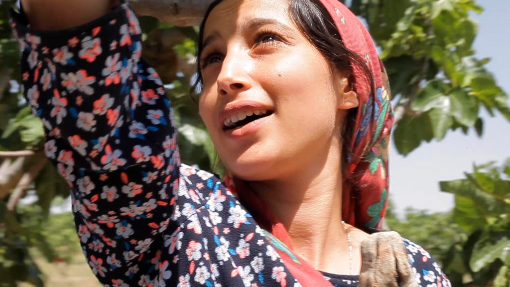 Erige Sehiriâ€™s UNDER THE FIG TREES to release for a limited time at CinÃ©mathÃ¨que de Tanger in Morocco