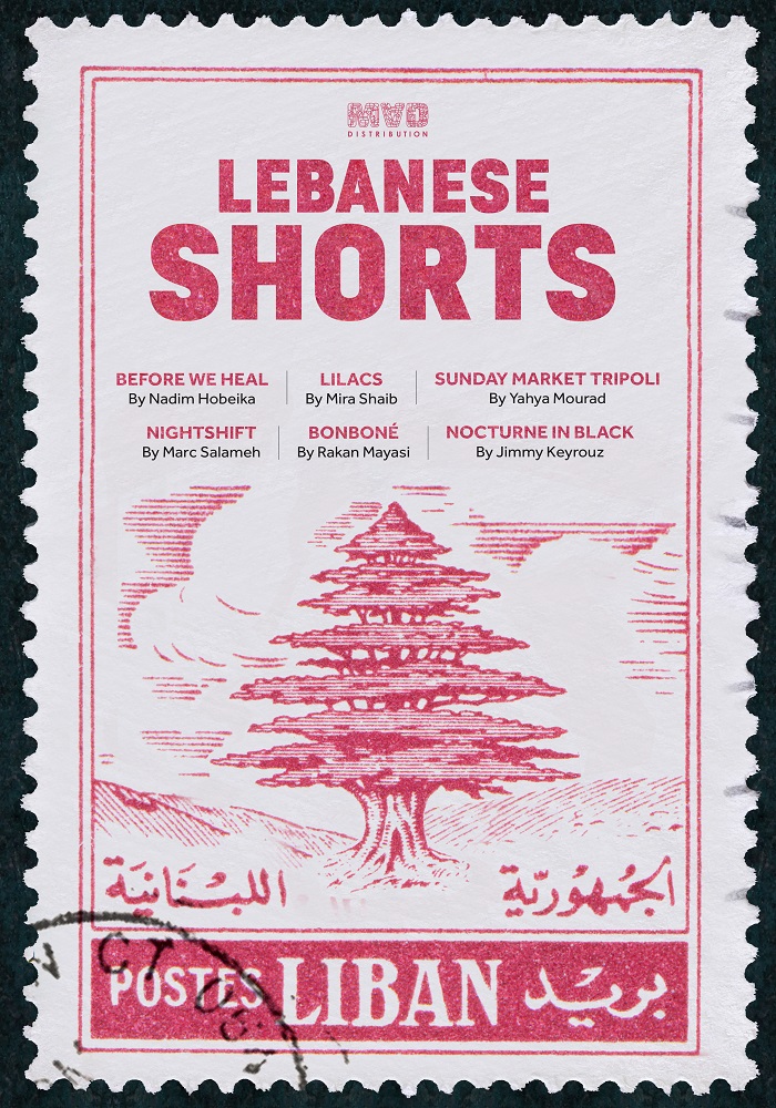 Lebanese Shorts Programme